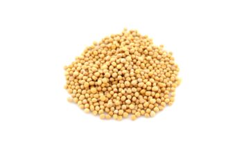 SENFSAAT ganz, gelb, 115 g  im Aromabeutel